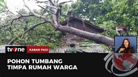 Diterpa Hujan Disertai Angin Pohon Tumbang Timpa Rumah Warga Kabar