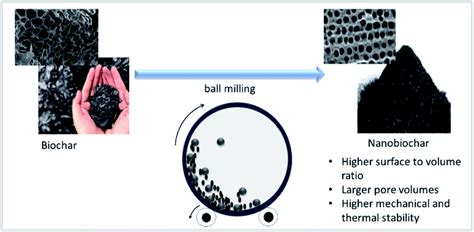 Emerging Application Of Biochar As A Renewable And Superior Filler In