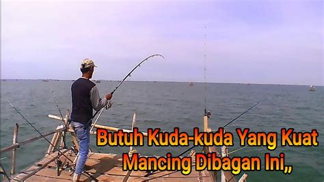 Penghuninya Suka Ngagetin Trip Mancing Tanjung Kait Spot Bagan