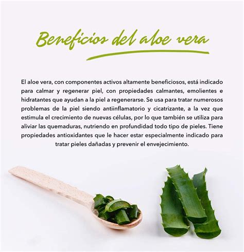 TABAIBA Aloe Vera Crema Hidratante