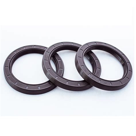 Double Lip Fkm Fpm Rubber Oil Seal Crankshaft Oil Seal Tc Tg For Rotary