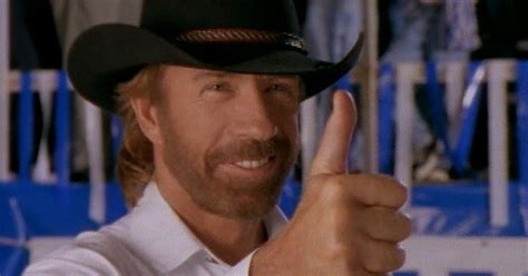 Chuck Norris Brony