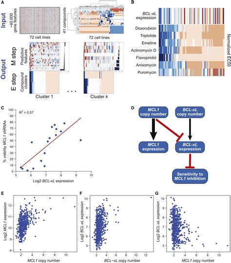 Chemical Genomics Identifies Small Molecule Mcl1 Repressors And Bcl Xl As A Predictor Of Mcl1