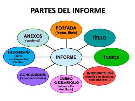 Partes Del Informe