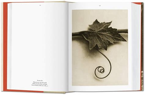 Karl Blossfeldt The Complete Published Workhans Christian Adam97838