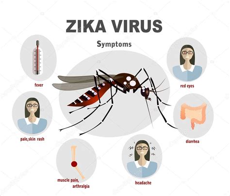 Zika virus symptoms — Stock Vector © mitay20 #101135214