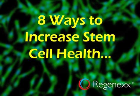 8 Ways To Improve Your Stem Cells Prior To Treatment Regenexx