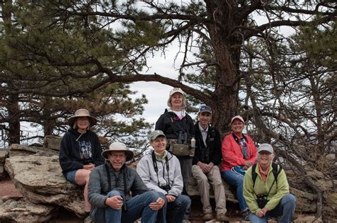 Always A New Story Birding At Bobcat Ridge Natural Area Taylor Hunt