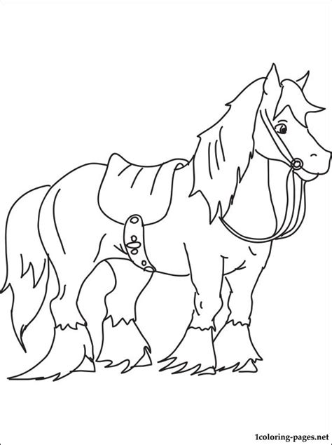 Shire Horse Coloring Pages at GetDrawings | Free download