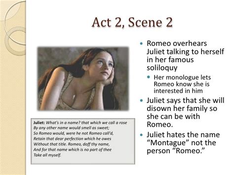 Romeo And Juliet Act 2 Scenes 1 2 Notes