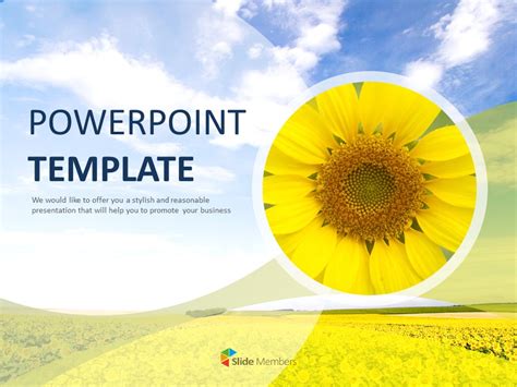 Sunflower Powerpoint Template 50 Koleksi Gambar