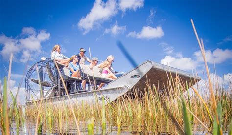 Discovering The Everglades A Guide To Airboat Tours