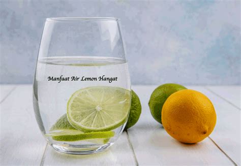 Manfaat Air Lemon Hangat Dan Cara Membuatnya Bams