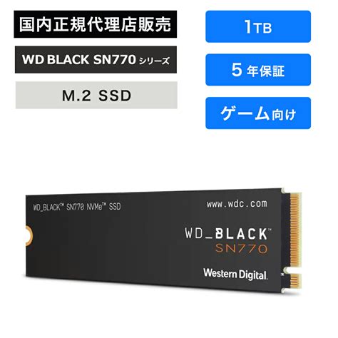 Western Digital Wd Blue Sn Ssd Tb Wds T B E