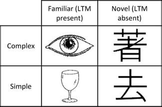 Examples of stimuli from the four stimulus categories. Note that... | Download Scientific Diagram