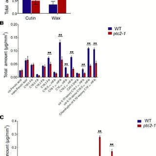 Analysis Of Anther Cutin And Wax In The Wild Type Wt And Ptc