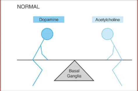 Pharmacology Treatment Of Parkinson S Alzheimer S Diseases