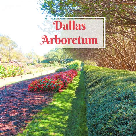 dallas arboretum dorworth adventures