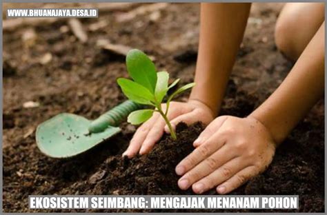 Ekosistem Seimbang Mengajak Menanam Pohon Desa Bhuana Jaya Kab