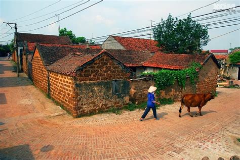 [sưu Tầm] 500 Hình Ảnh Làng Quê Việt Nam Yên Bình Đến Lạ