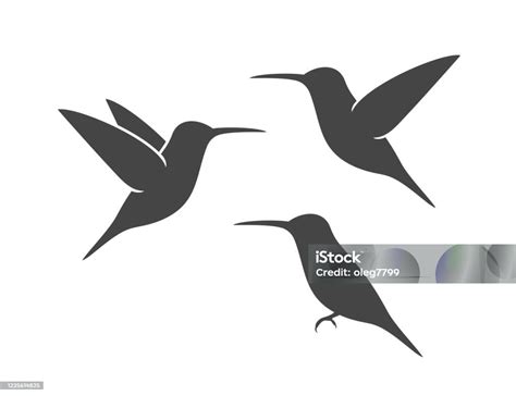 Kolibrisilhouette Isolierter Kolibri Auf Weißem Backgroun Vogel Stock