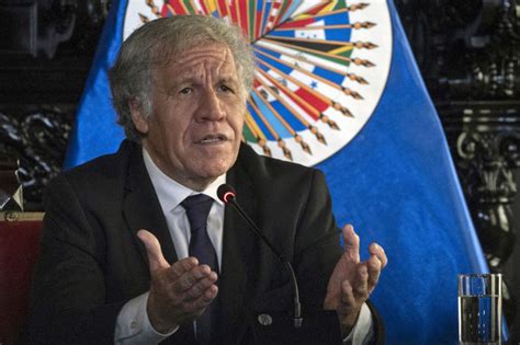 Oea Expresa Apoyo A La Democracia La Paz Y La Institucionalidad En El Perú