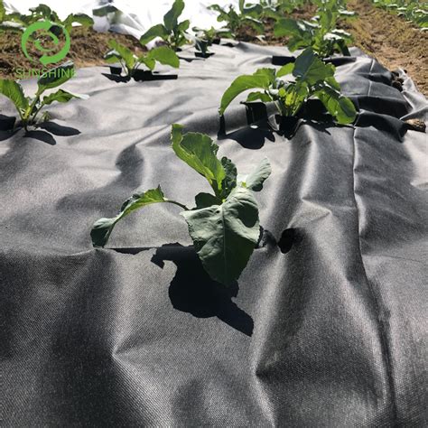 UV Agricultural Spunbond Landscape Nonwoven Fabric Weed Control For