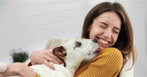 Voici Les Races De Chiens Qui Ont La Plus Longue Esp Rance De Vie