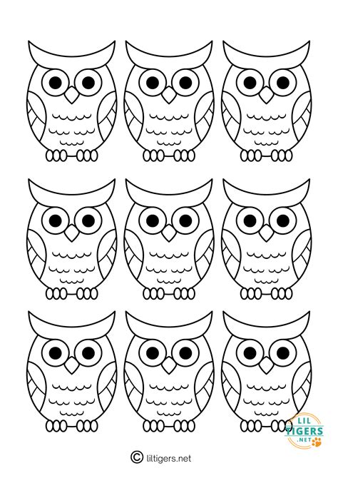 Owl Outline Template