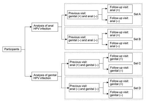 Pdf Sequential Acquisition Of Anal Hpv Infection Following Genital