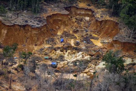 Terra Yanomani Completa Anos Maior Devasta O Da Hist Ria