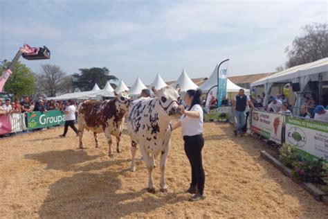 Machecoul St M Me La Foire Exposition Du Pays De Retz Revient Encore