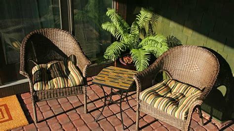 15 Terrace Plants for Your Beautiful Terrace Garden