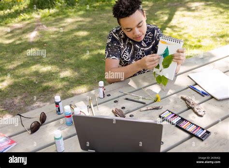 Niño señalando el dibujo de la hoja con crayón en el parque Fotografía