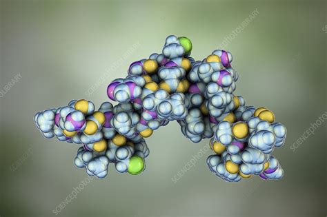 Parathyroid Hormone Molecular Model Stock Image F