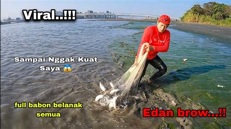 Viral Jala Ikan Belanak Di Muara Sekali Tebar Babon Babon Semua