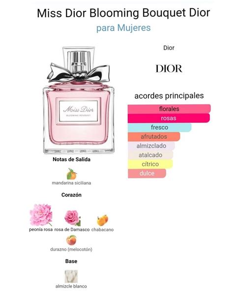 Perfume Que Lembra O Miss Dior Artofit