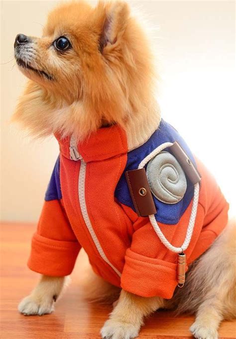 The Handmade Naruto Uzumaki And Akatsuki Inspired Dog Costumes