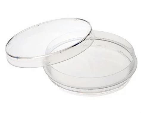 Plastic Mm Petri Dish For Chemical Laboratory At Rs In Hyderabad