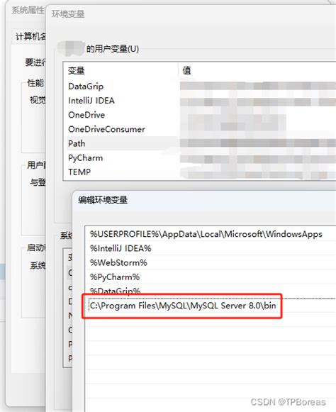 保姆级 Mysql的安装配置教程（非常详细）mysql官网安装 Csdn博客