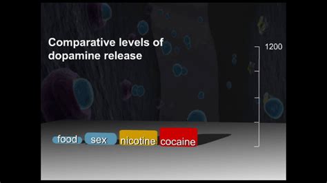 Dopamine Dose Chart