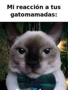 Ideas De Plantillas De Memes Ramdon En Memes Memes