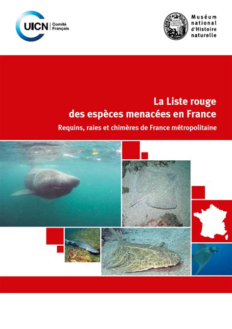 La Liste Rouge Des Esp Ces Menac Es En France Requins Raies Et