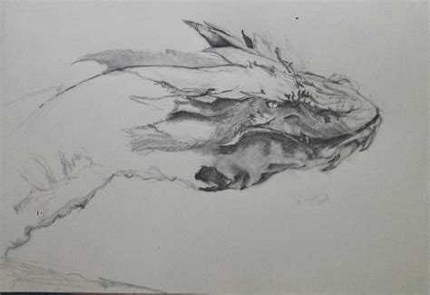 Smaug: Sketch in Progress by ray-agustin on DeviantArt