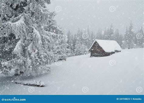 Winter blizzard stock image. Image of christmas, cool - 34194823