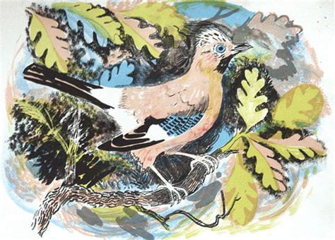 Mark Hearld Prints | St Jude's Prints