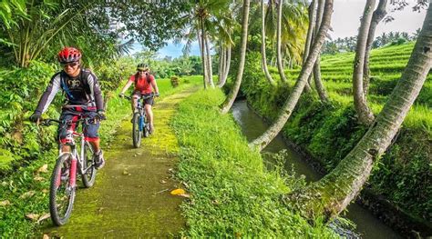 Kintamani Cycling Tour Best Bali Cycling Tour