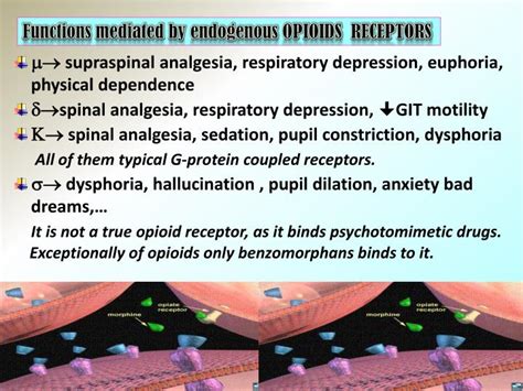 PPT - OPIOIDS PowerPoint Presentation - ID:1994943