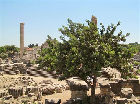 Online crop | HD wallpaper: didim, turkey, history, temple, stone ...