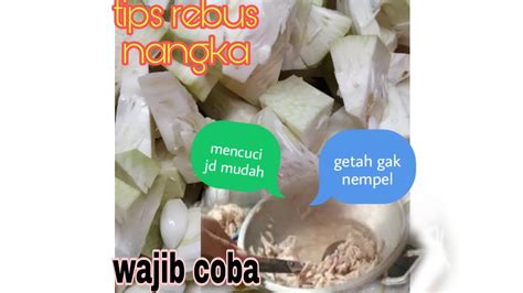 WAJIB COBA Tips Merebus Nangka Agar Getahnya Tidak Lengket Di Panci